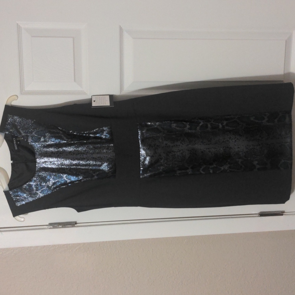 Ellen Tracy Dress